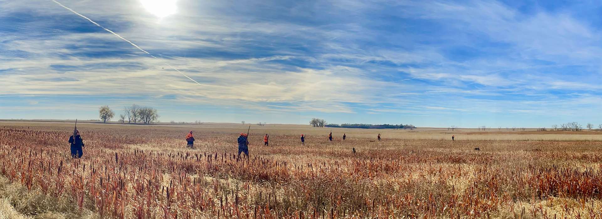 Guided Pheasant Hunts in South Dakota