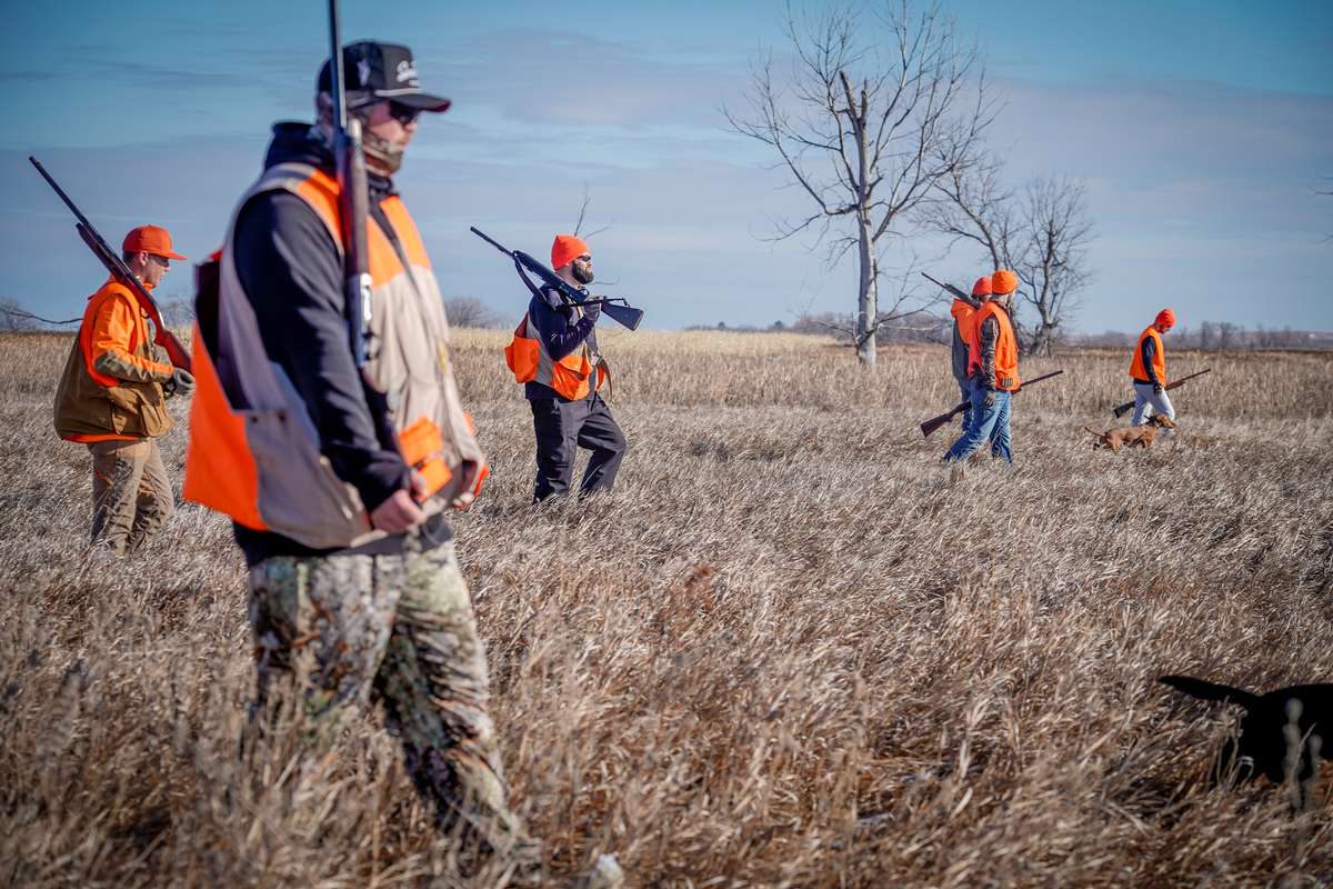 Pheasant Hunting Terrain