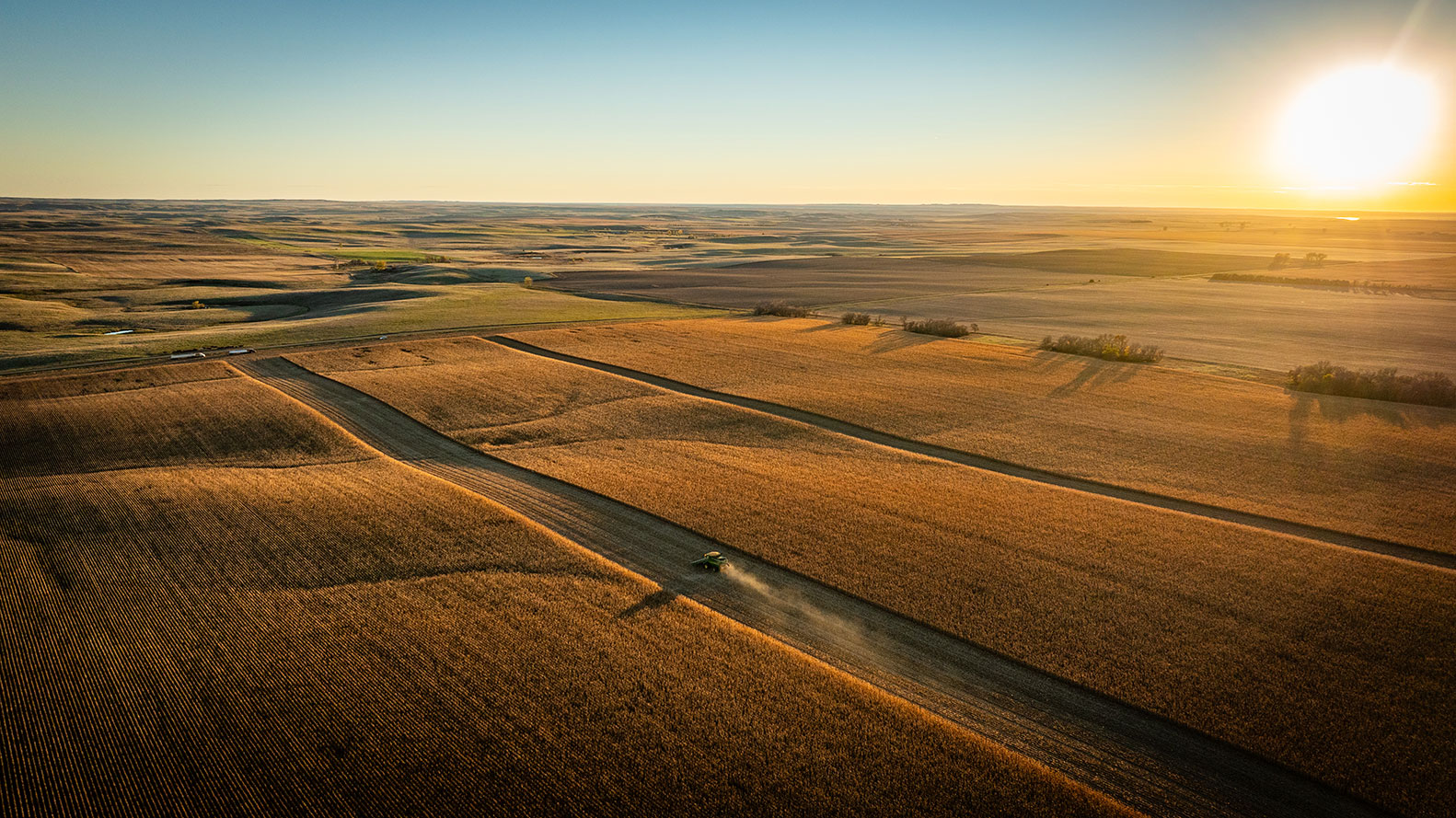 How Much Does a South Dakota Pheasant Hunt Cost?