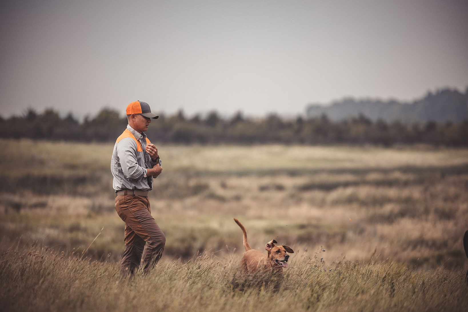 Do You Need a Guide for Pheasant Hunting in South Dakota?